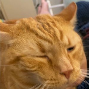 Meet your Posher, Erik